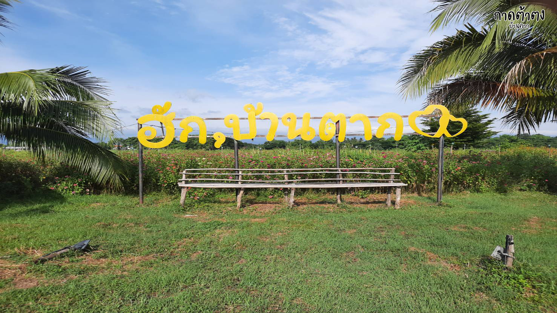 กาดต้างตง-2