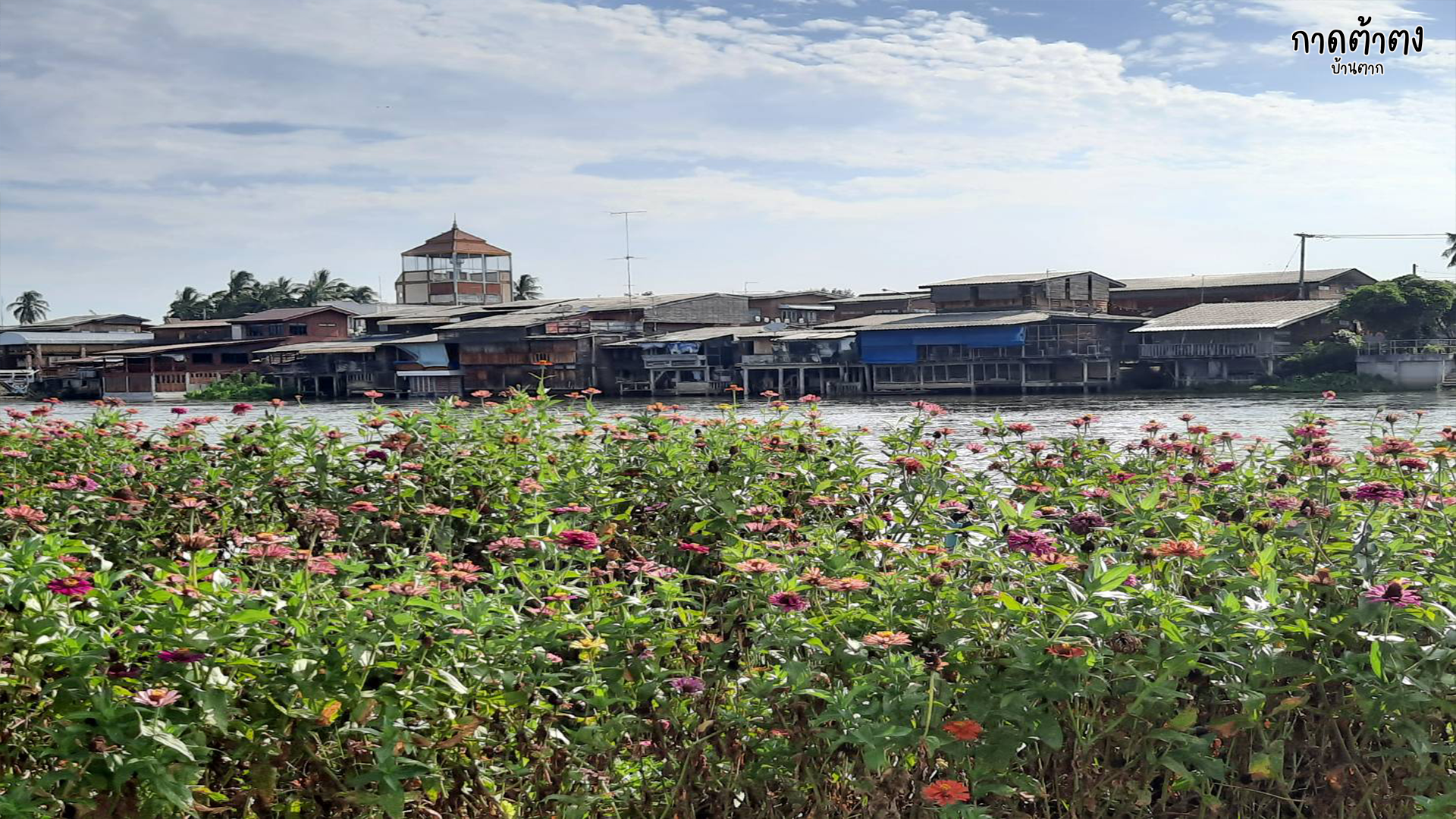 กาดต้าตง-3